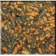 Genmaicha