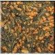 Genmaicha